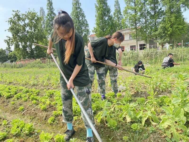 浙江金华叛逆学校 (图2)